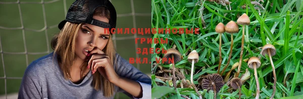 мяу мяу мука Алексин