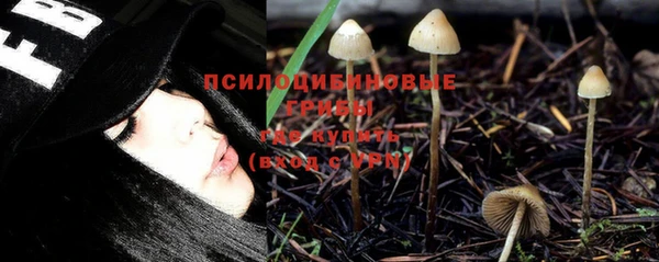 мяу мяу мука Алексин